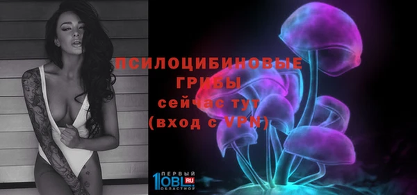 прущие крисы Алексеевка