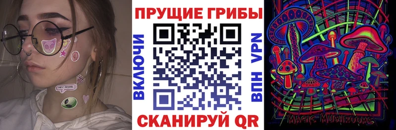 Псилоцибиновые грибы Psilocybe  hydra зеркало  Чапаевск 