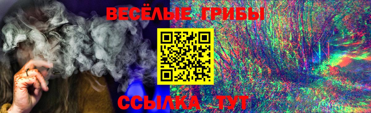 Чапаевск  Псилоцибиновые грибы Psilocybine cubensis  Вход с VPN  Галлюциногенные грибы GOLDEN TEACHER 