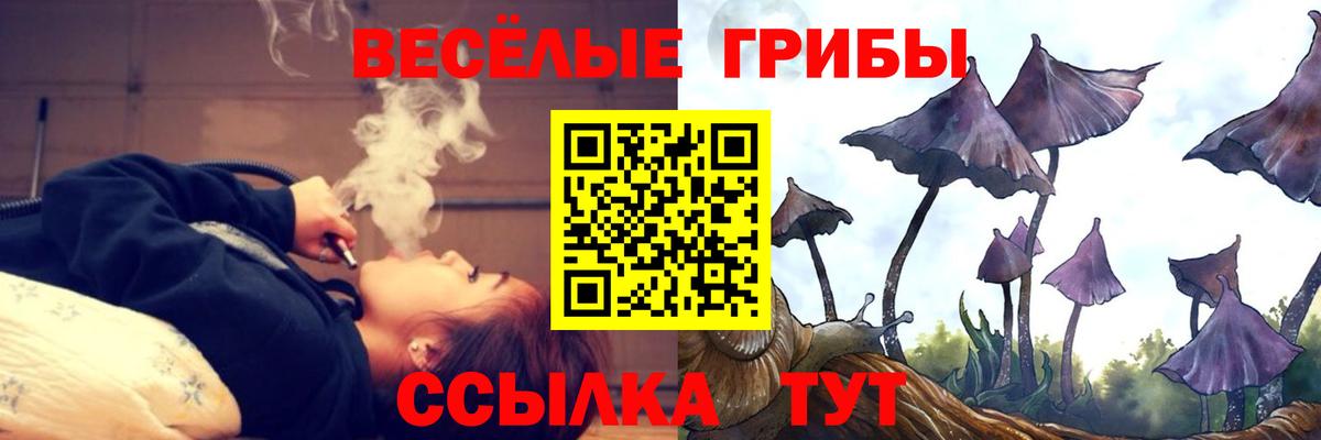 Галлюциногенные грибы Cubensis Чапаевск